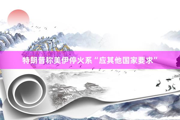 特朗普称美伊停火系“应其他国家要求”