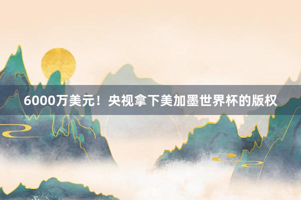 6000万美元！央视拿下美加墨世界杯的版权