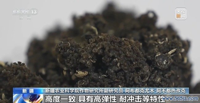 从橡胶草提取合格天然橡胶，已实现量产